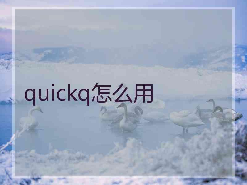 quickq怎么用