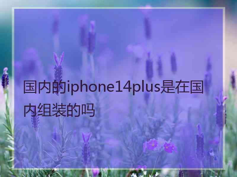 国内的iphone14plus是在国内组装的吗