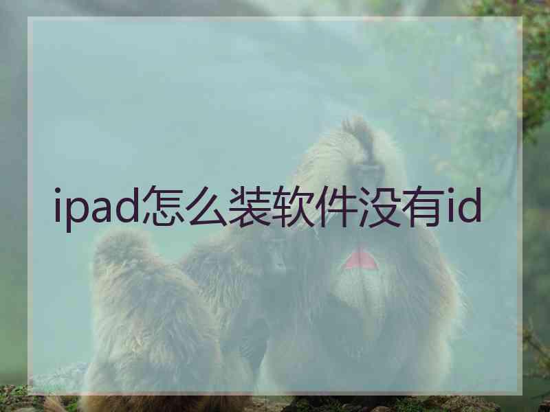 ipad怎么装软件没有id