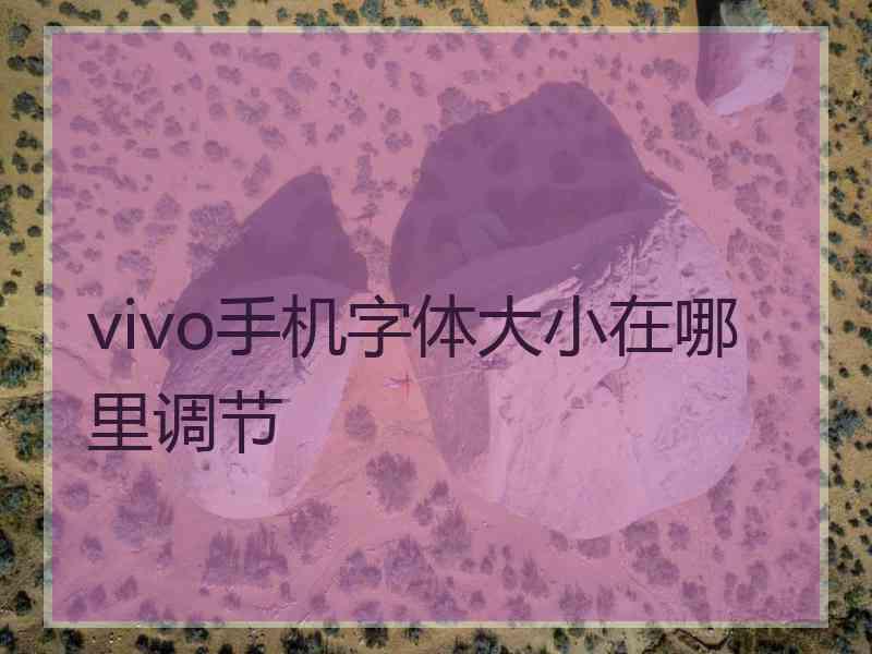 vivo手机字体大小在哪里调节