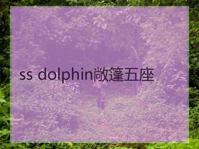 ss dolphin敞篷五座