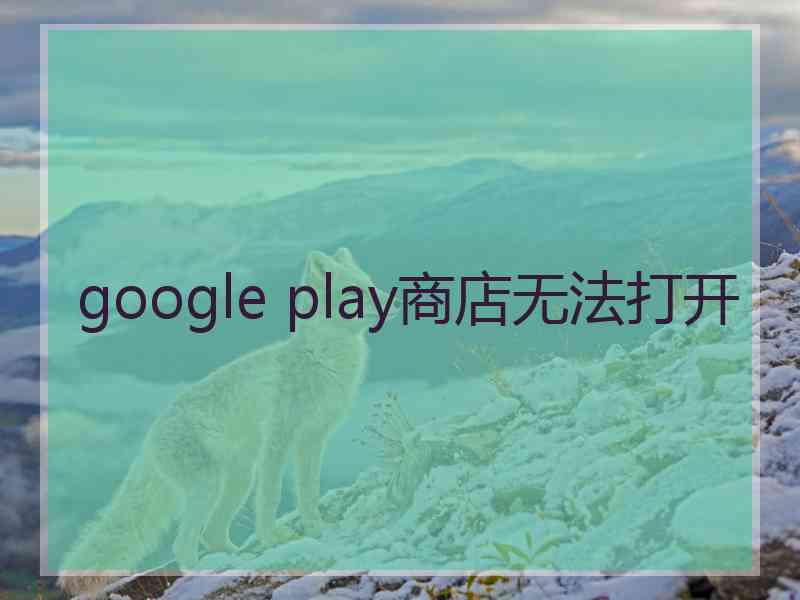 google play商店无法打开