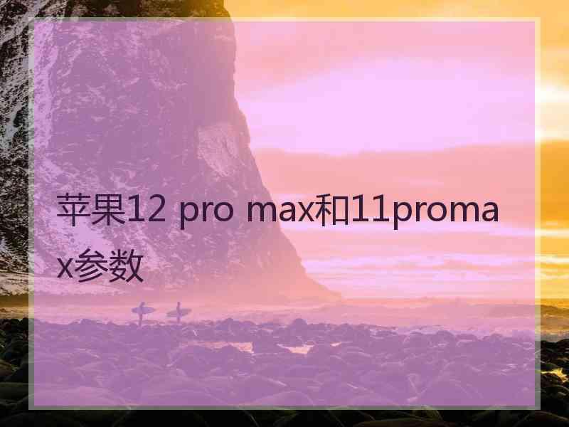 苹果12 pro max和11promax参数