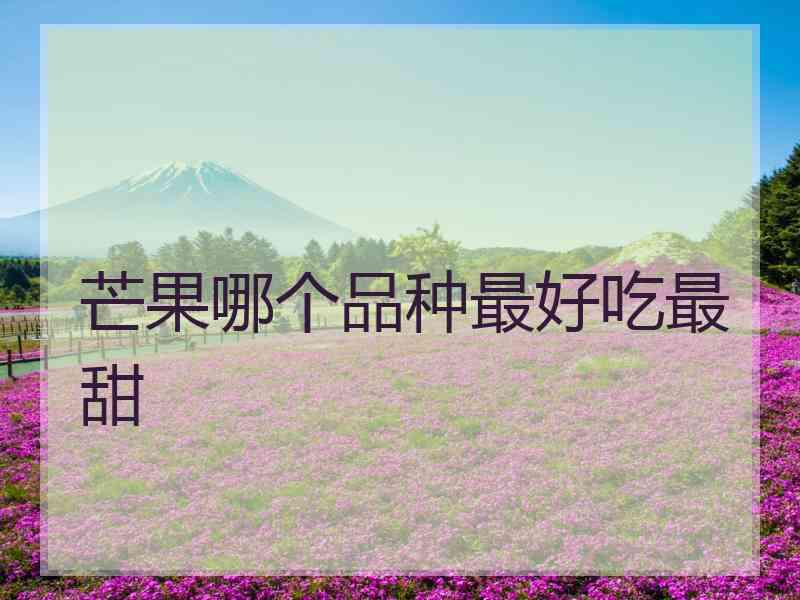 芒果哪个品种最好吃最甜