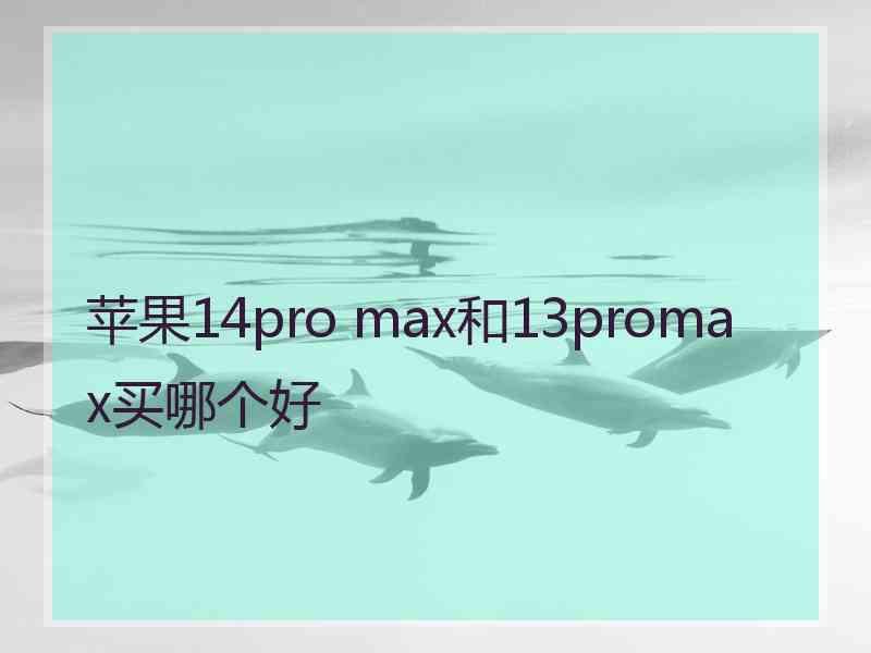 苹果14pro max和13promax买哪个好