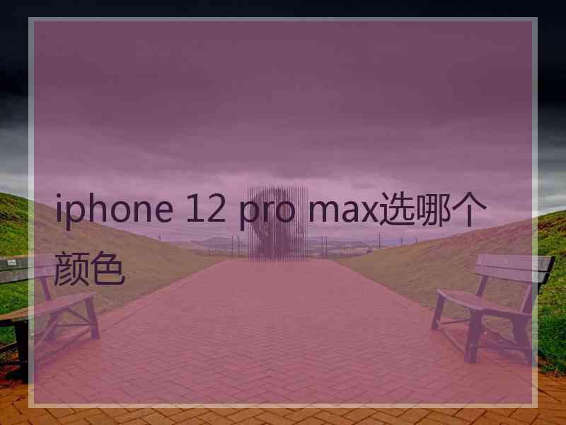 iphone 12 pro max选哪个颜色