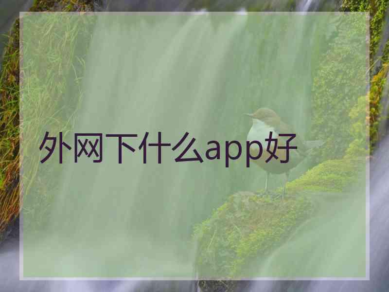 外网下什么app好