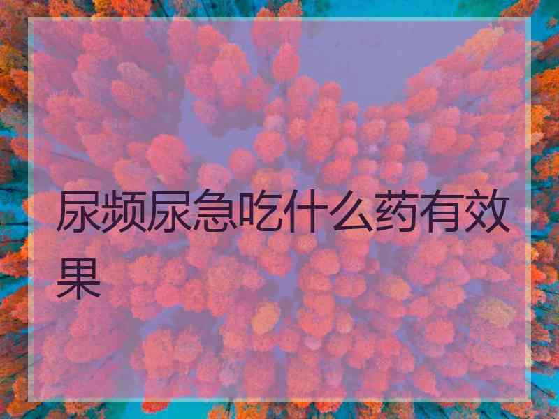 尿频尿急吃什么药有效果