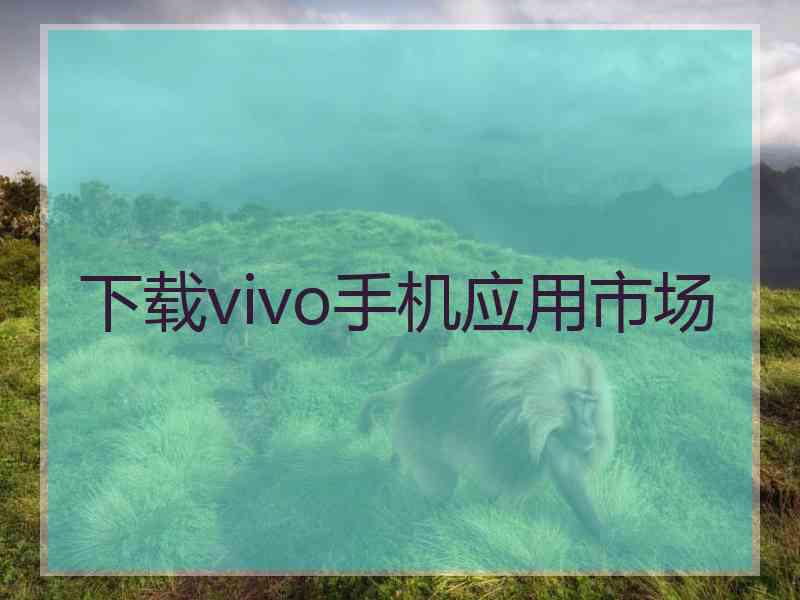 下载vivo手机应用市场