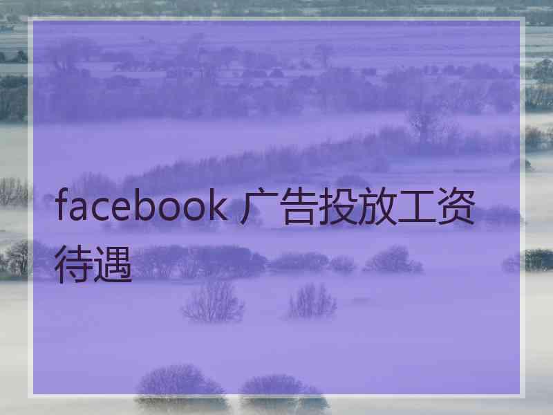 facebook 广告投放工资待遇