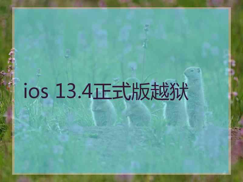 ios 13.4正式版越狱