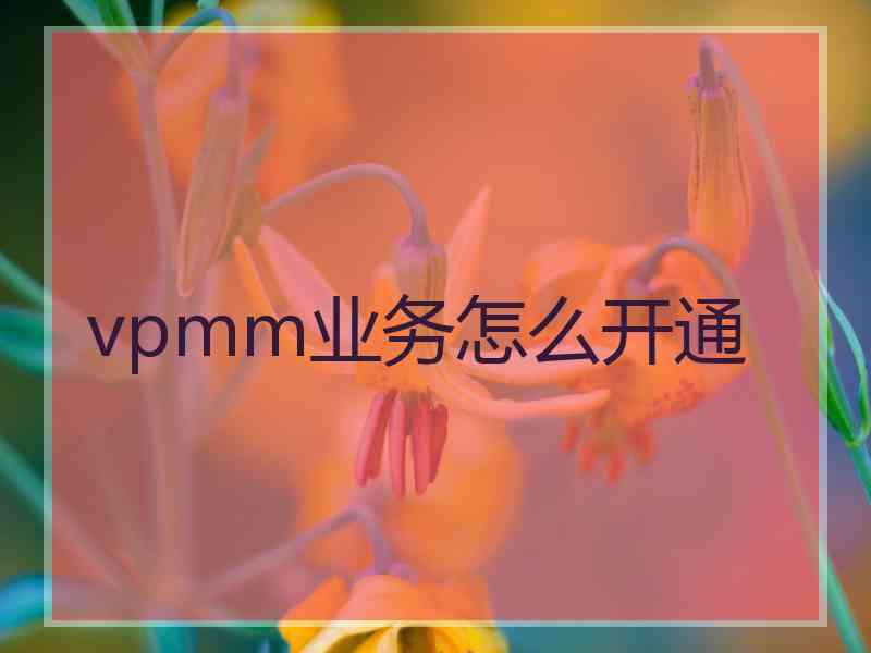 vpmm业务怎么开通