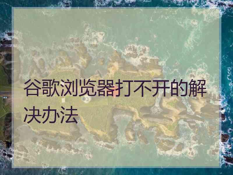 谷歌浏览器打不开的解决办法