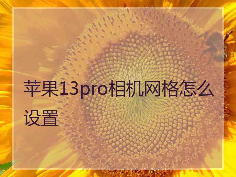 苹果13pro相机网格怎么设置