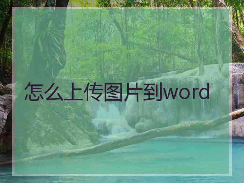 怎么上传图片到word