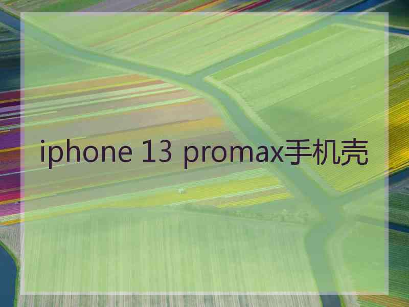 iphone 13 promax手机壳