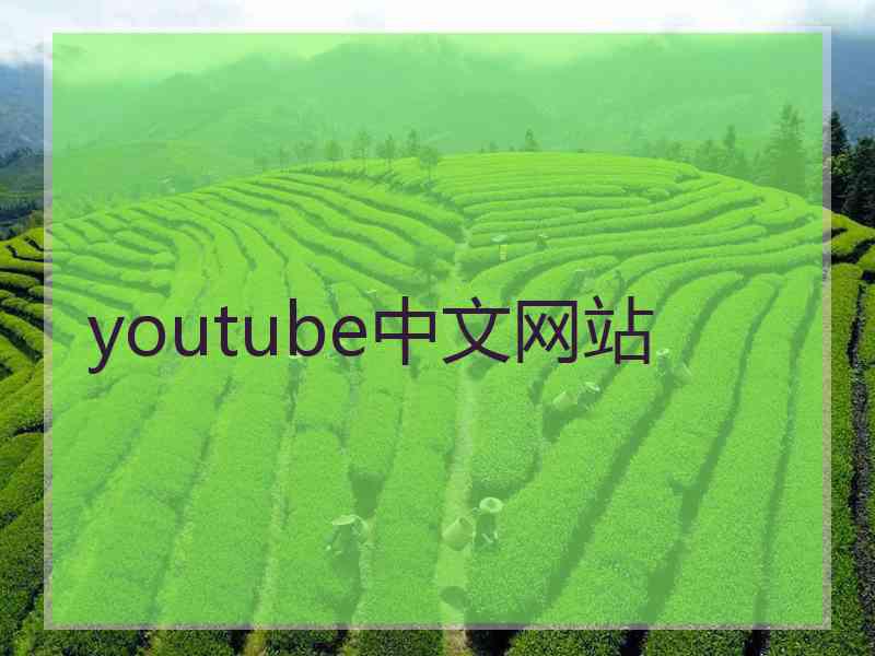 youtube中文网站