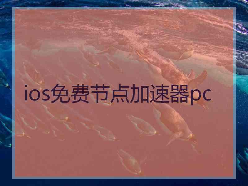 ios免费节点加速器pc