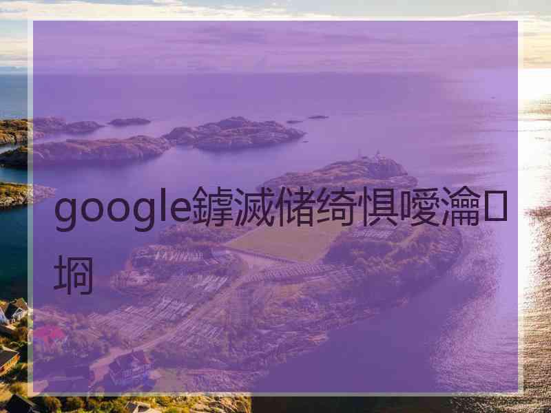 google鎼滅储绮惧噯瀹㈡埛