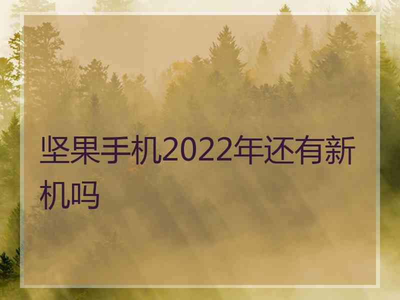 坚果手机2022年还有新机吗