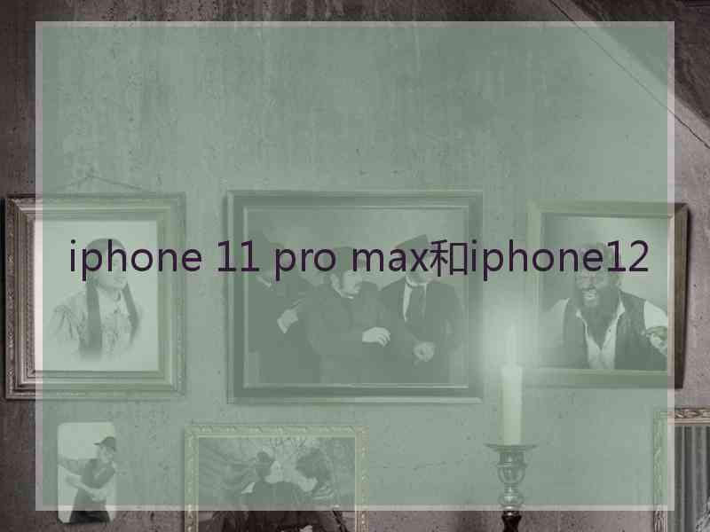 iphone 11 pro max和iphone12