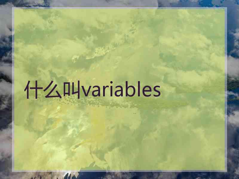 什么叫variables