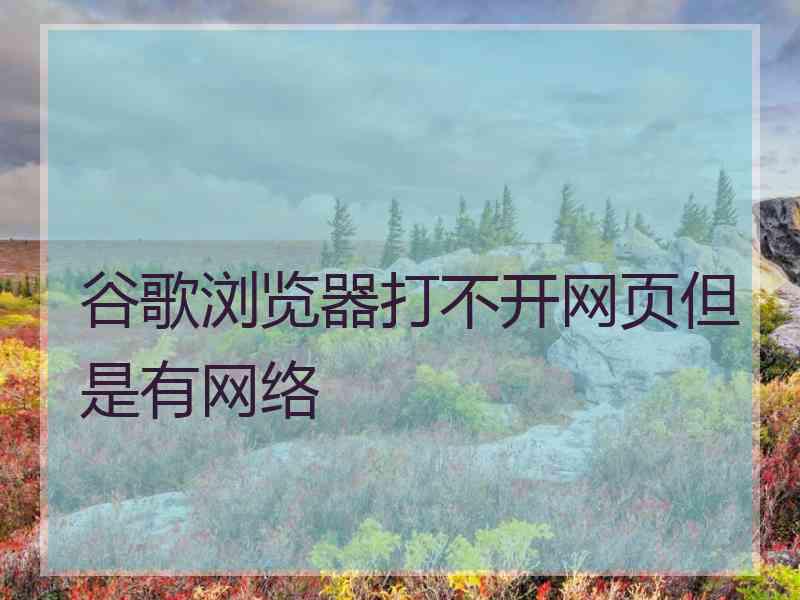 谷歌浏览器打不开网页但是有网络