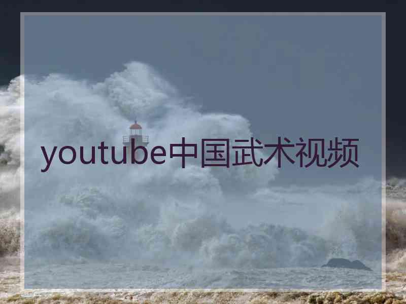 youtube中国武术视频