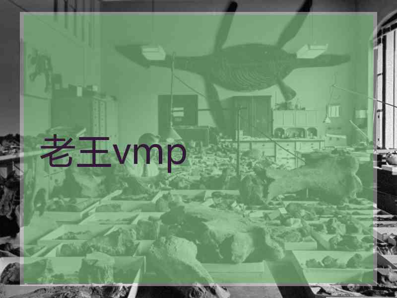 老王vmp