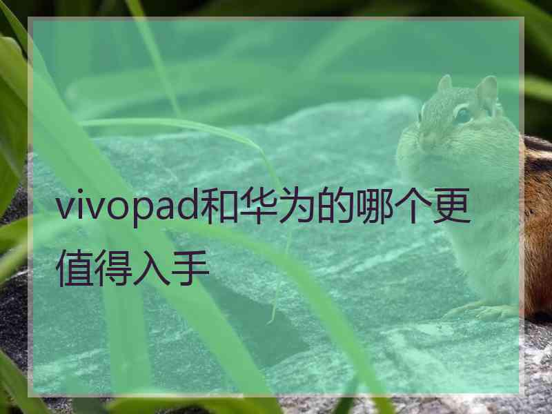 vivopad和华为的哪个更值得入手