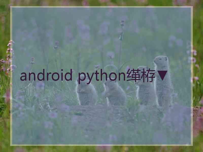 android python缂栫▼