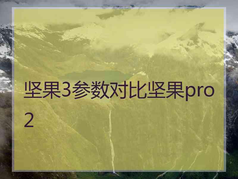 坚果3参数对比坚果pro2