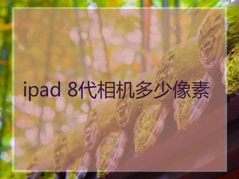 ipad 8代相机多少像素