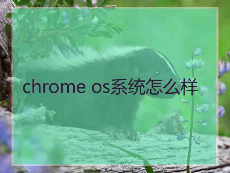 chrome os系统怎么样