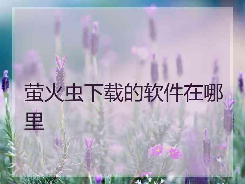 萤火虫下载的软件在哪里