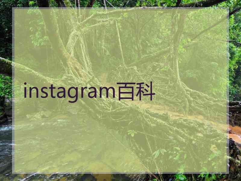 instagram百科