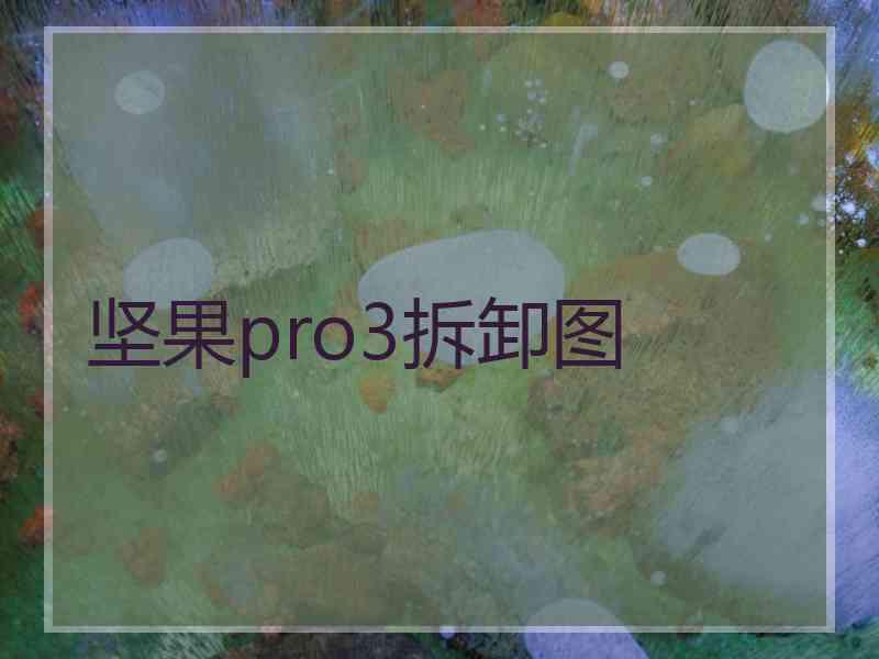 坚果pro3拆卸图