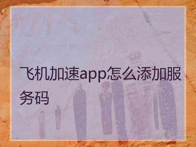 飞机加速app怎么添加服务码