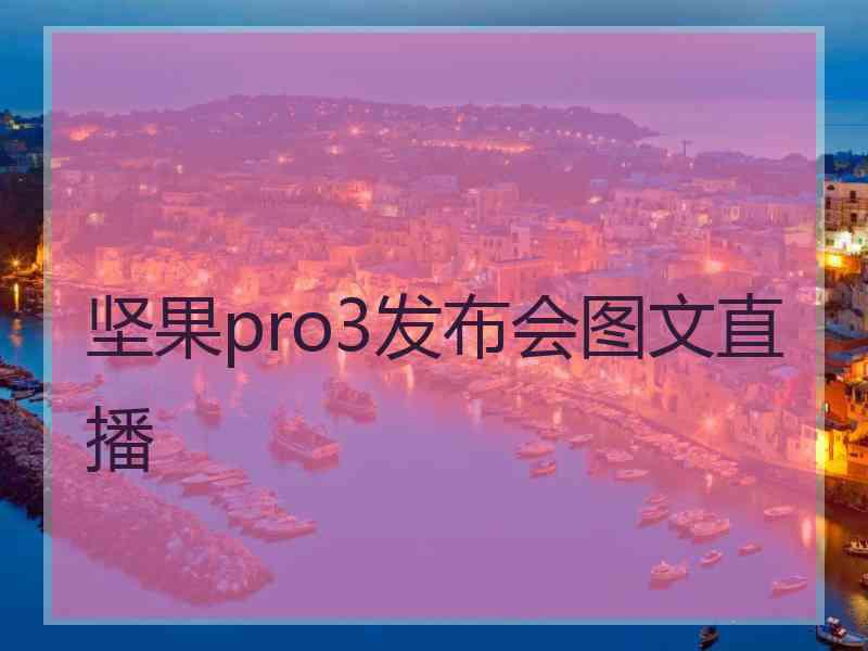 坚果pro3发布会图文直播