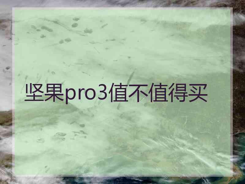 坚果pro3值不值得买