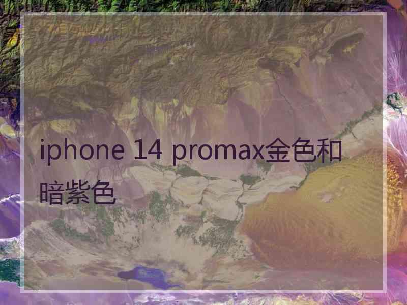 iphone 14 promax金色和暗紫色