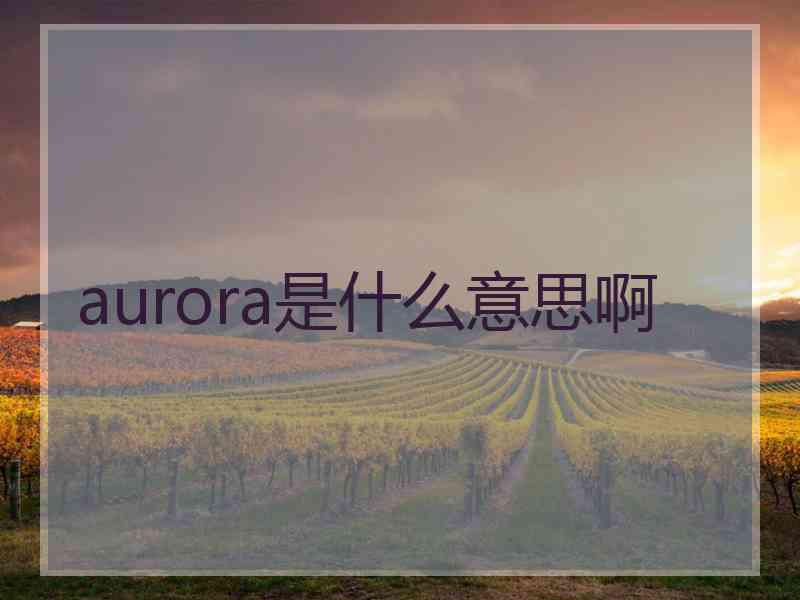 aurora是什么意思啊