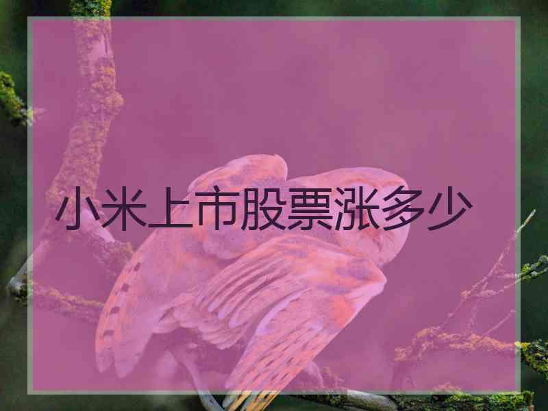 小米上市股票涨多少