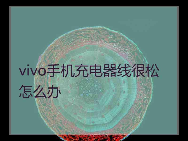 vivo手机充电器线很松怎么办