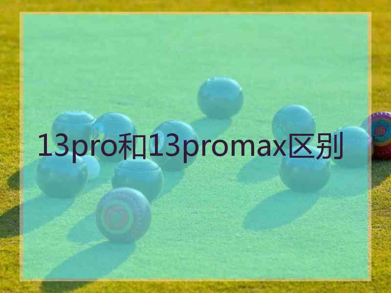 13pro和13promax区别