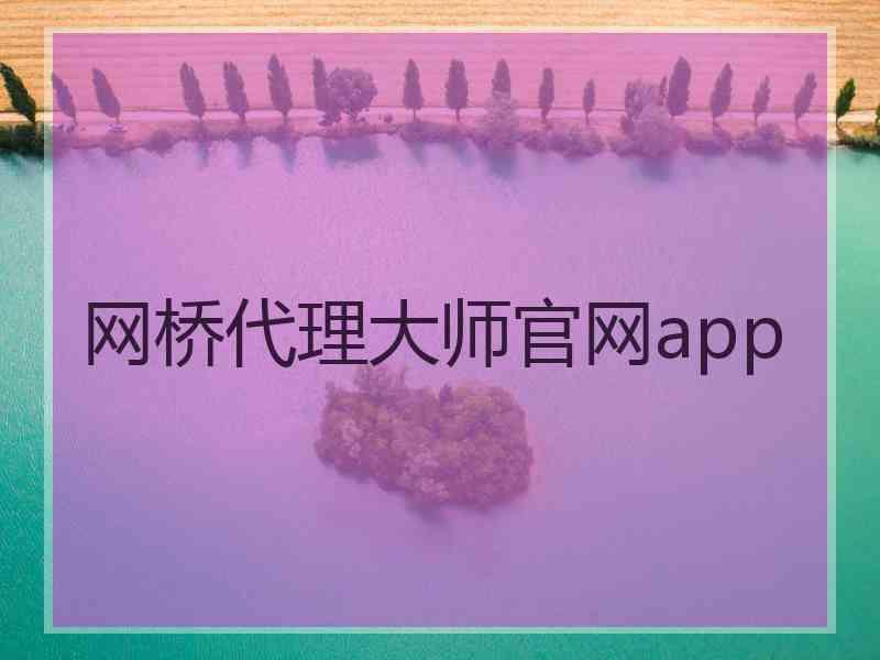 网桥代理大师官网app