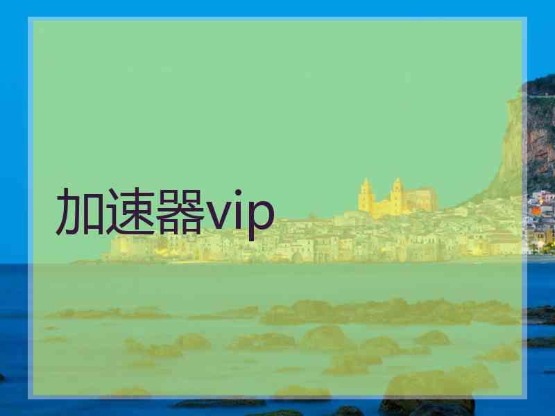 加速器vip