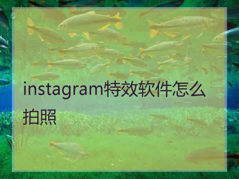 instagram特效软件怎么拍照