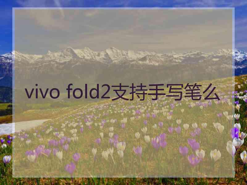 vivo fold2支持手写笔么