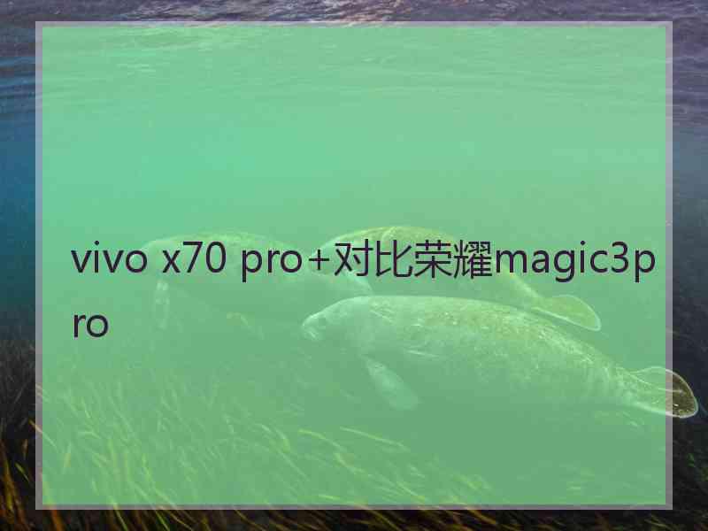 vivo x70 pro+对比荣耀magic3pro